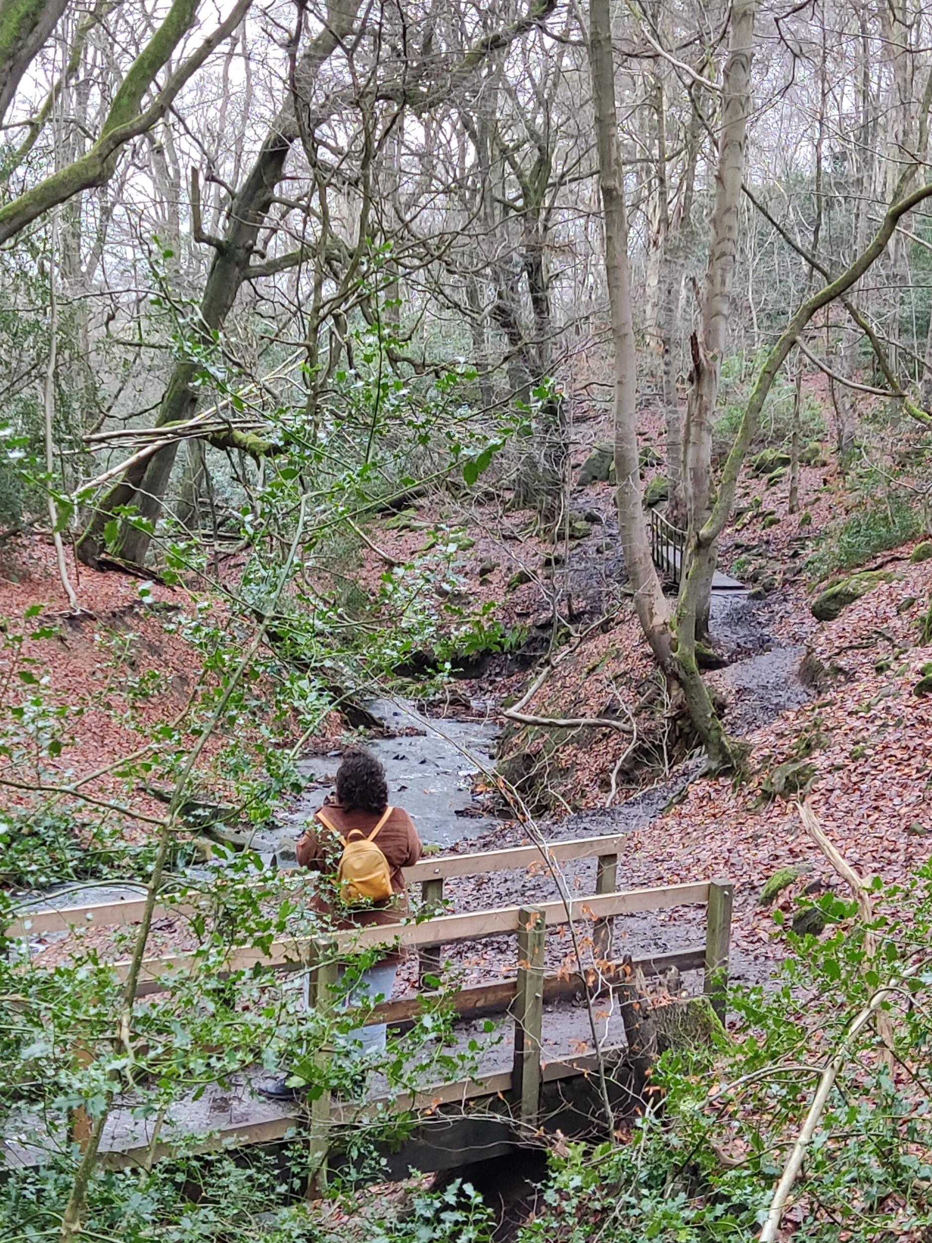After being released from our quarantine in Harrogate, we packed in as much exploring as possible. Here's Joyce taking in the scene at Oak Beck.