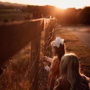 Gallery Photo 9