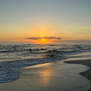 Gallery Photo 25