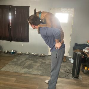 Gallery Photo 32