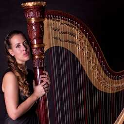 Harp & Soul, profile image