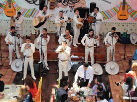 Mariachi Monumental De Mexico - Mariachi Band - Chicago, IL - Hero Gallery 4