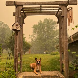 Gallery Photo 24