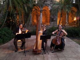 The Elegant Harp: Esther & AnnaLisa Underhay - String Quartet - West Palm Beach, FL - Hero Gallery 1