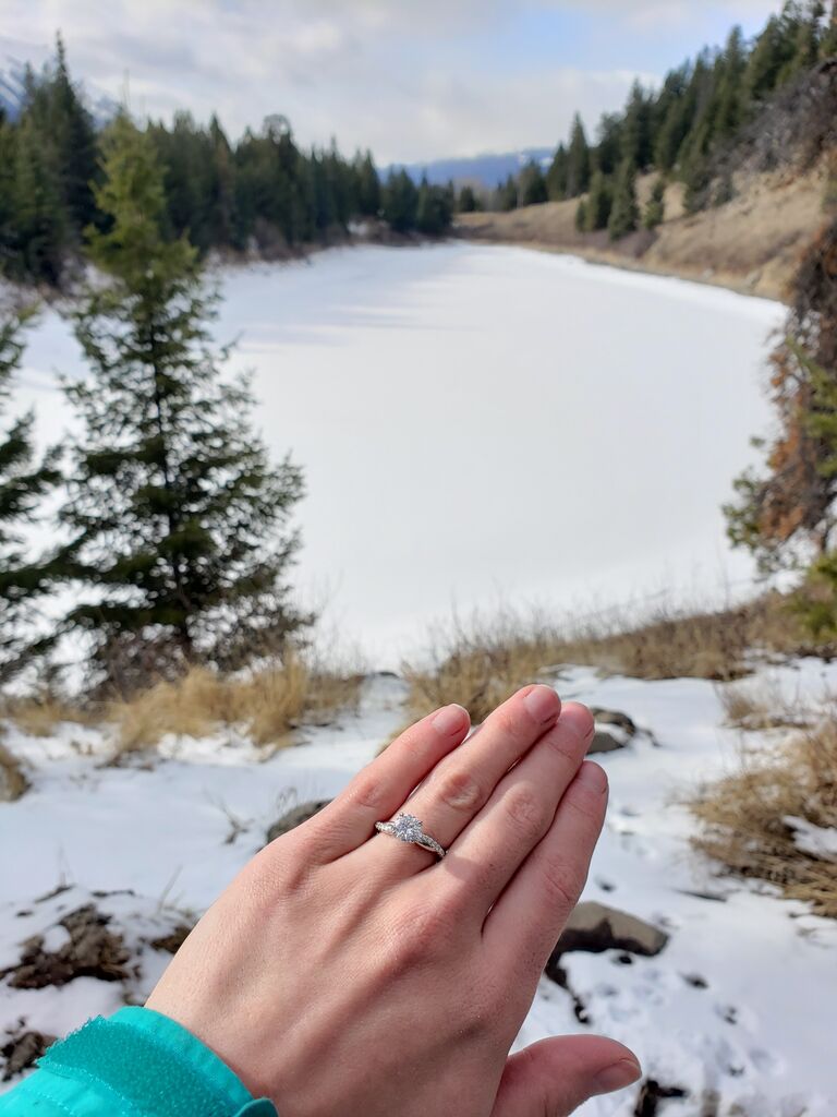 Birthday hike turned proposal!
