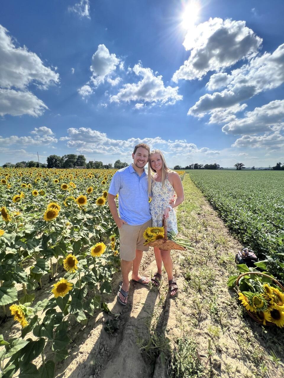 Sunflower field
