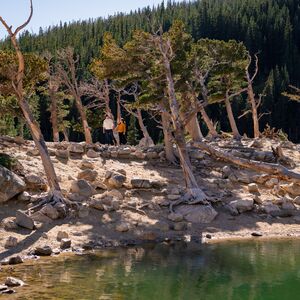 Gallery Photo 11