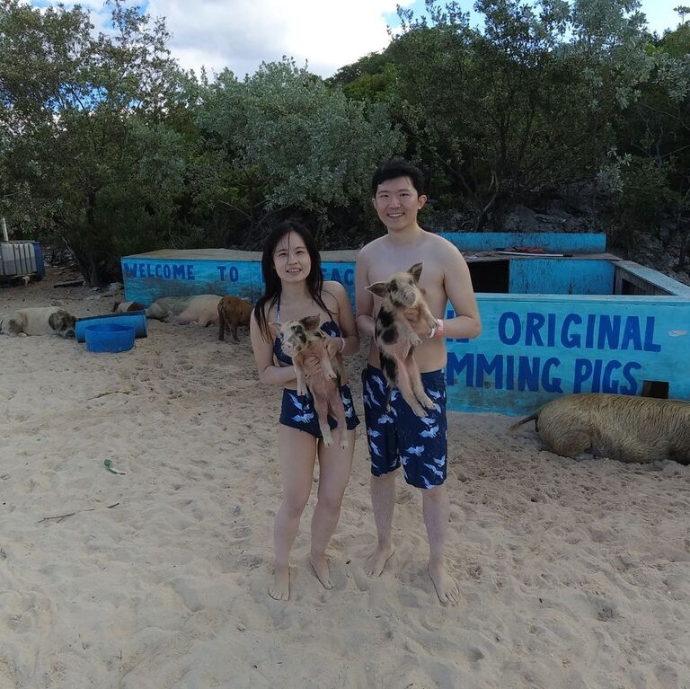Pig Beach, The Bahamas