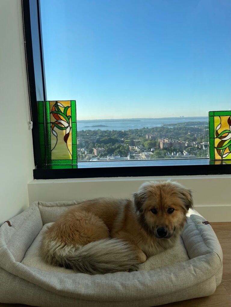Having outgrown Queens, the couple move to sunny New Rochelle - the jewel of the Long Island sound. While the apartment is smaller, the view more than makes up for it! 