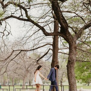 Gallery Photo 8