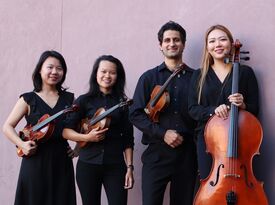 Erimos String Quartet - String Quartet - Phoenix, AZ - Hero Gallery 2
