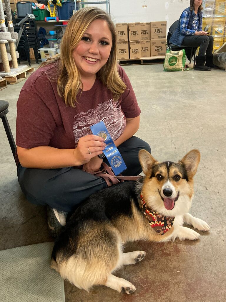 Bean shows promise by earning her first AKC title as a Canine Good Citizen