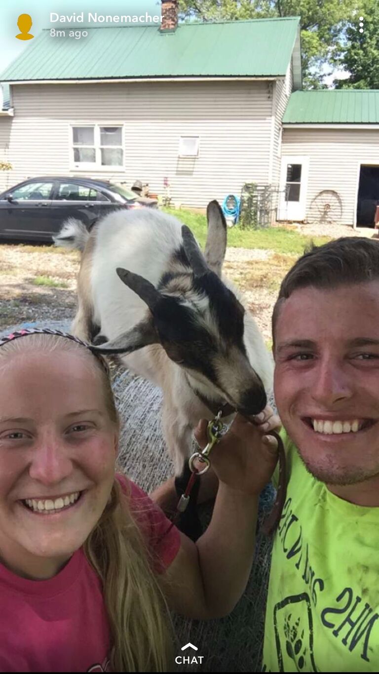 Chopper and Runner, the goats that made Olivia want a whole hobby farm of goats one day!