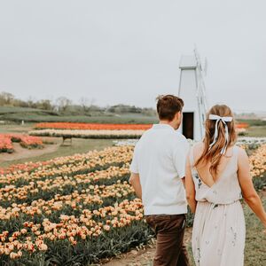 Gallery Photo 4