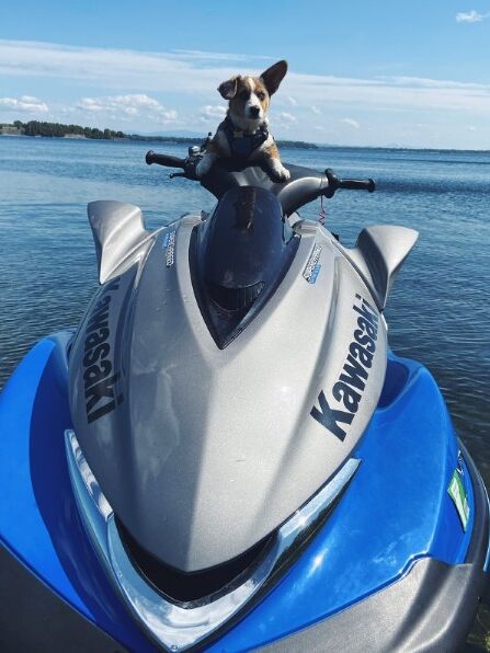 Millie on jet Ski- Trip to Vermont