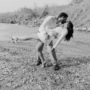 Gallery Photo 79