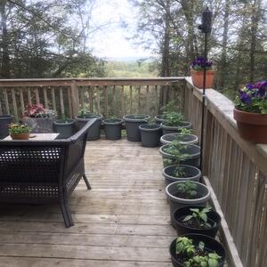 Gallery Photo 40