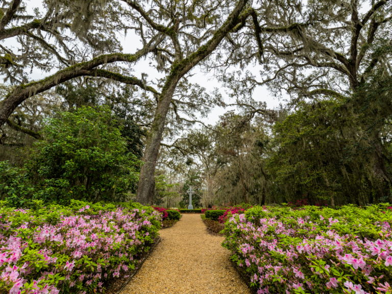 ceremony site at Wesley Gardens in St. Simons Island, Georgia