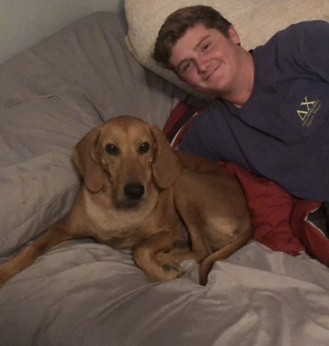 Rescued Sandy!