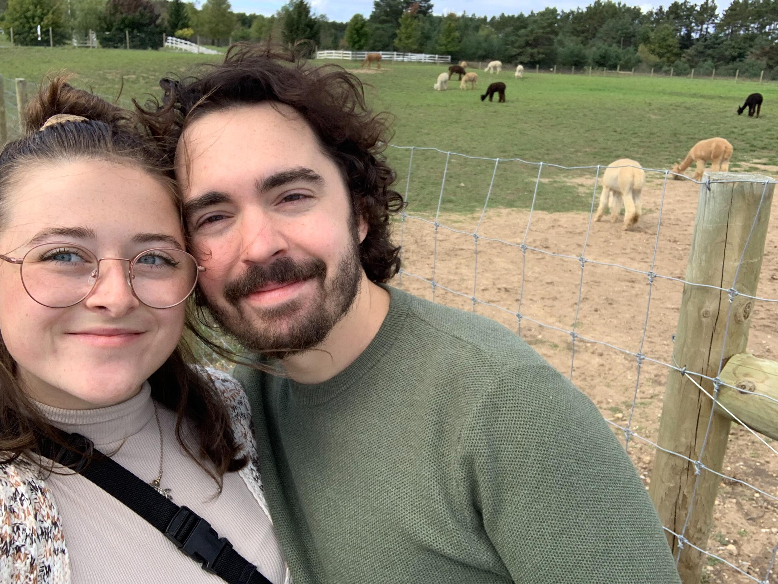 Alpaca day at the farm! 🦙