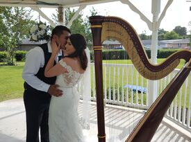 Elizabeth Webb, Harpist - Harpist - Fort Garland, CO - Hero Gallery 4