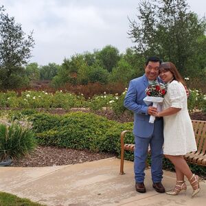 Gallery Photo 41