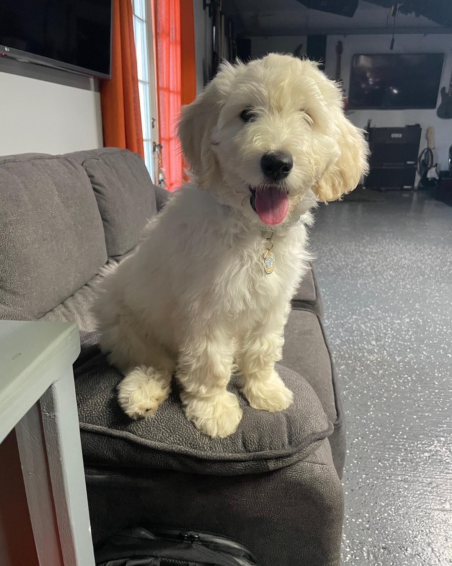 Adding a new member to the family - Winry!
