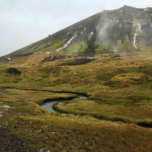 Gallery Photo 10