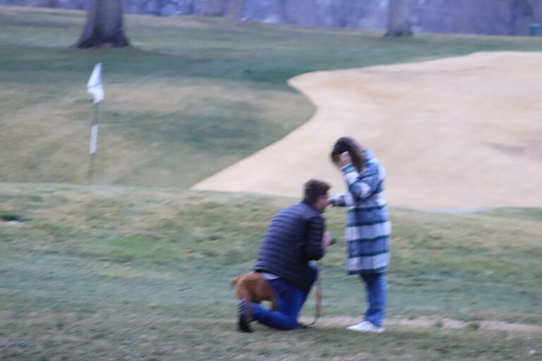 the proposal! 