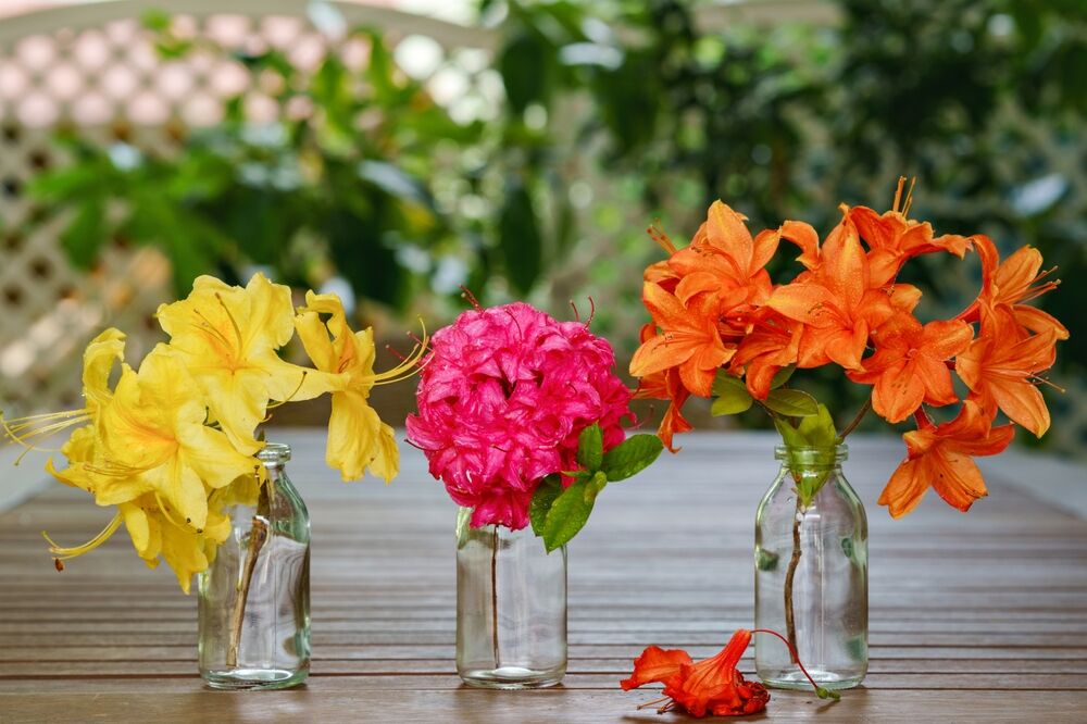 bright flowers in 3 mason jars