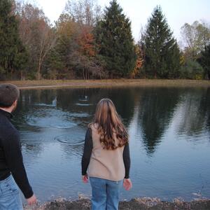 Gallery Photo 34