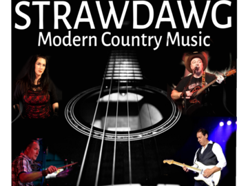 Strawdawg - Country Band - Palatine, IL - Hero Main