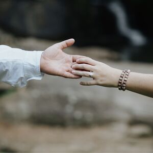Gallery Photo 41