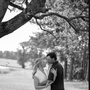 Gallery Photo 10