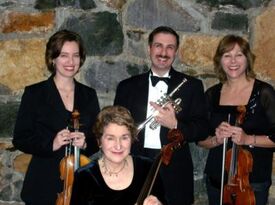 Wilmington String Ensemble - String Quartet - Wilmington, DE - Hero Gallery 2
