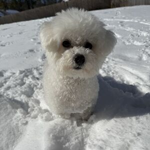 Gallery Photo 29