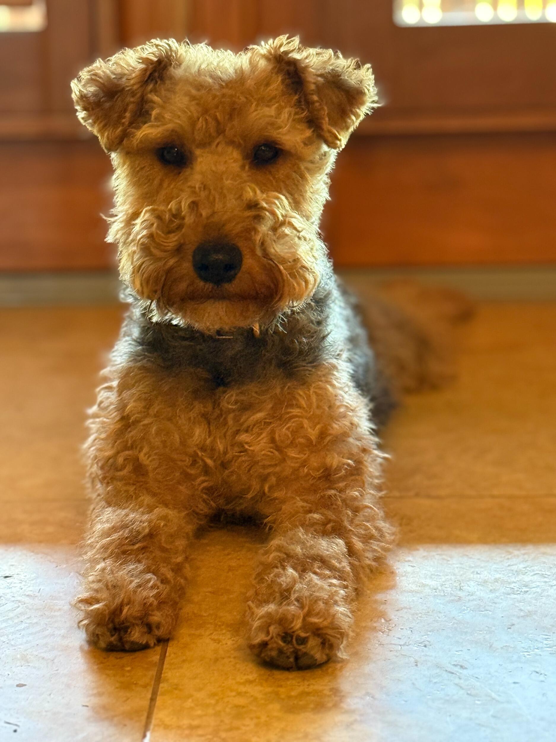 Vespa continues to pose for pictures, now in 80s glamour style. 