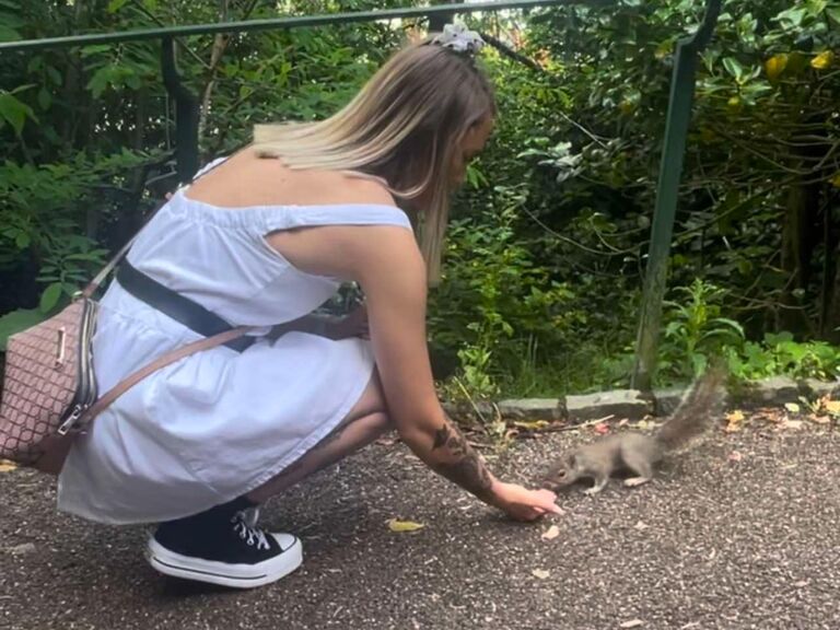 The day we met in the much loved home to us both, chester. 
Getting a starbucks, feeding the squirrels, going on a pedal boat, having a pint and then chatting till the night ended.