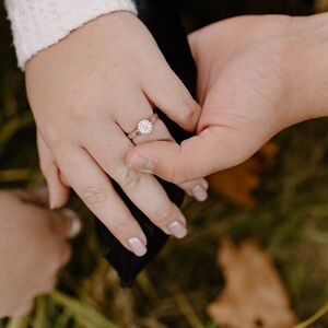 Gallery Photo 62