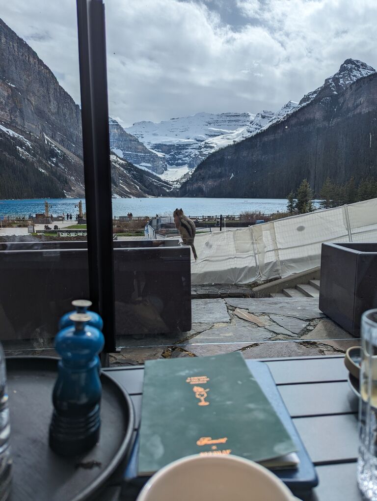 A well-earned celebratory meal back at the hotel, where Ashley (unwillingly) shared olives with their new chipmunk friend. 