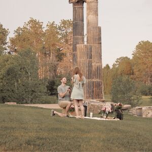 Gallery Photo 26