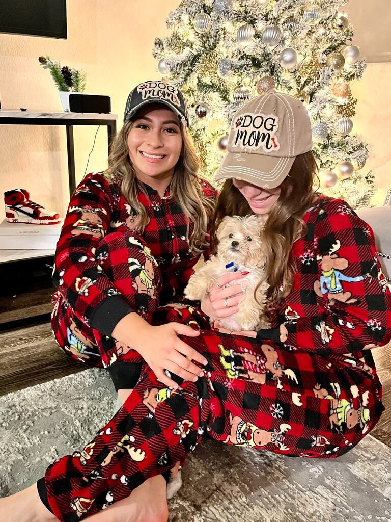 A puppy's 1st Christmas is just as important as your first born child's...when you don't have kids yet.