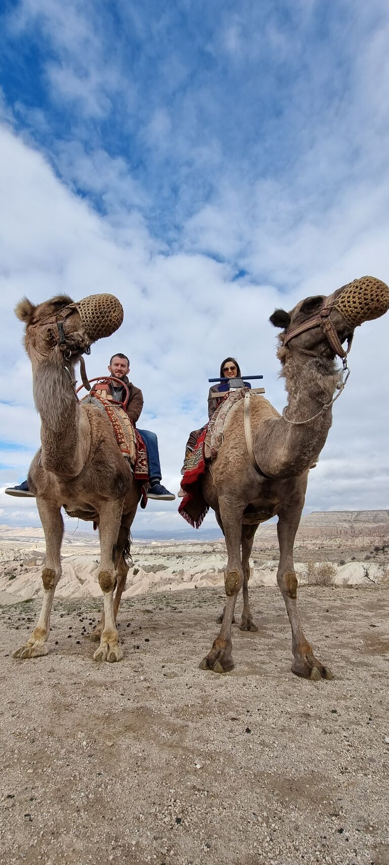 Chilling with Camels in Cappadocia