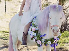 BFF - Petting Zoo - Lancaster, CA - Hero Gallery 2