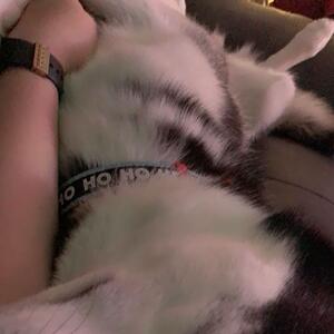 Gallery Photo 28