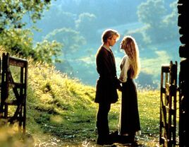 princess bride quotes