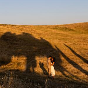 Gallery Photo 29
