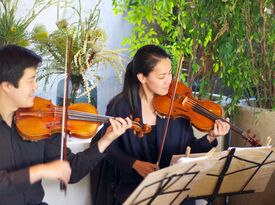 Bay Area Strings - String Quartet - San Francisco, CA - Hero Gallery 3