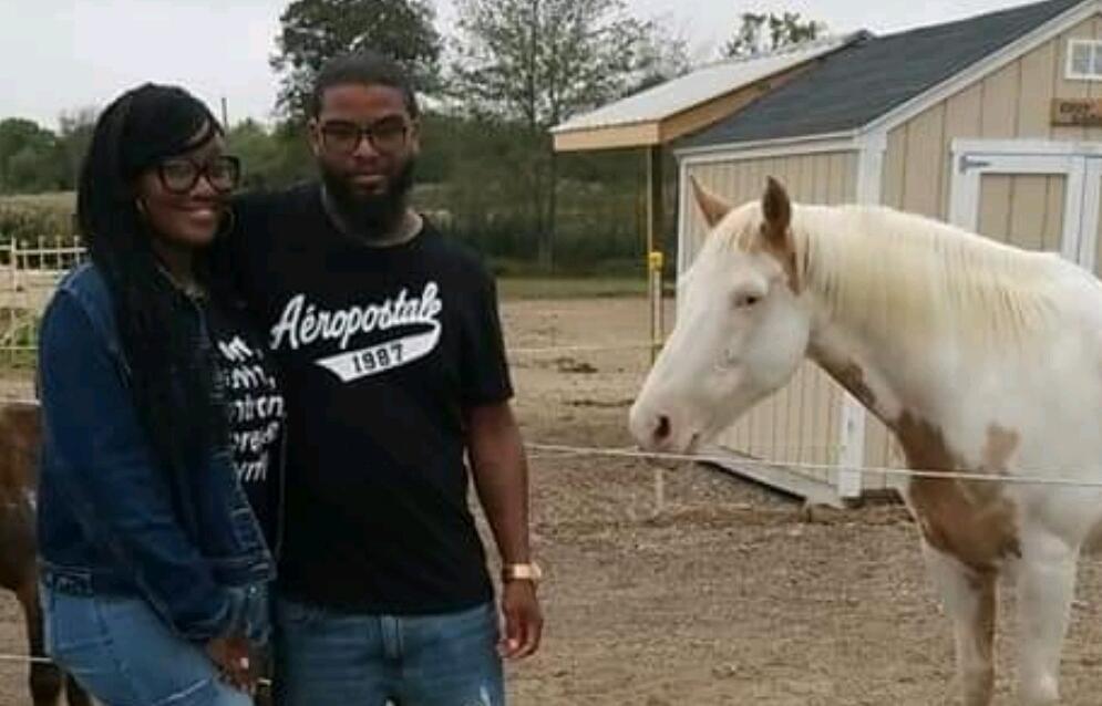 Cozy Quarters Farm... Horseback Riding 🐎