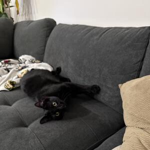 Gallery Photo 1
